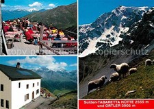 Sulden Solda Tabaretta Huette Terrasse Bergschafe