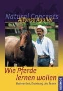 Wie Pferde lernen wollen