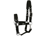 Kappzaum neu schwarz 6 - kappzaum,