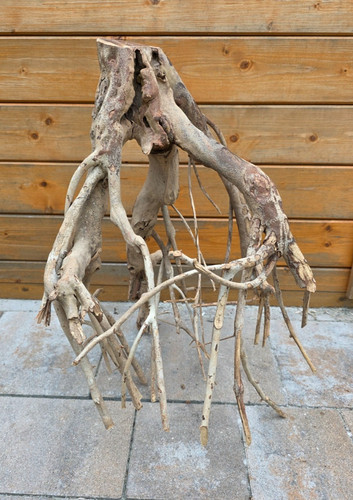 Talawa wood 47x35x54cm - xl,