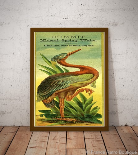 Vintage werbeplakat für - vintage-werbeplakat,