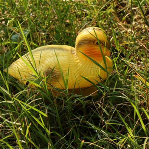 Inch gelbe ente lockvogel - inch,