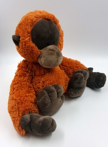 Nici affe orang - nici,