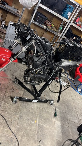 Honda cbr 600 pc37 motor - rr,