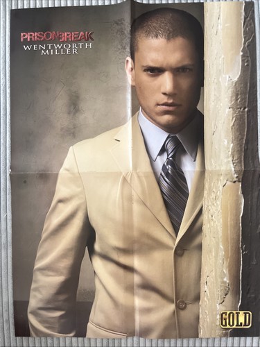 Wentworth miller prison - wentworth,