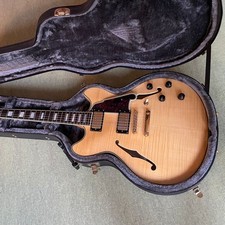 D'Angelico Excel DC Amber
