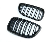 Front Grill Nieren Einsätze