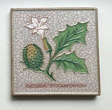 Karlsruher Majolika Wandkachel Fliese Wandbild Datura Stramonium Dr.  W. Schwabe