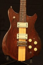 Professionelle E-Gitarre