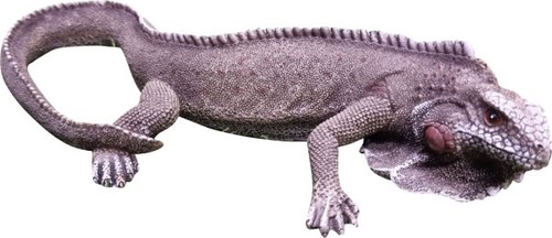 Dekofigur eidechse bunt - dekofigur,