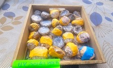 Großes Lot Geoden Aus Mexico Geöffnet Teilweise UV grün Chalcedon Mineralien