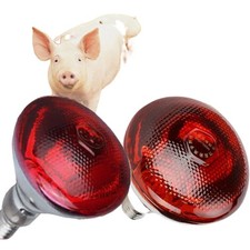 2x Rotlicht Wärmelampe 100/150/175/200/250/275W E27 Hartglas Haustiere