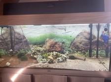 VB juwel aquarium rio 180 + außenfilter