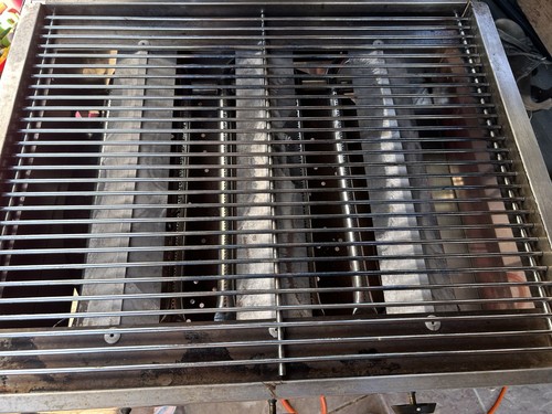 Gasgrill mit grillrost - gasgrill,