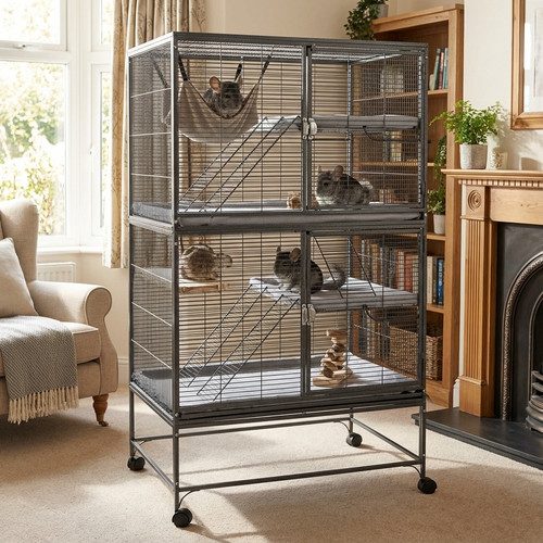Ratten frettchen chinchilla - frettchen,