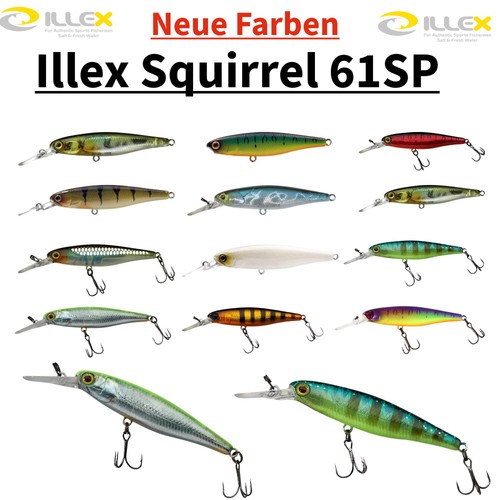 Illex squirrel sp - squirrel,