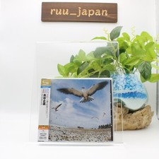 2013 DIGITAL REMASTER