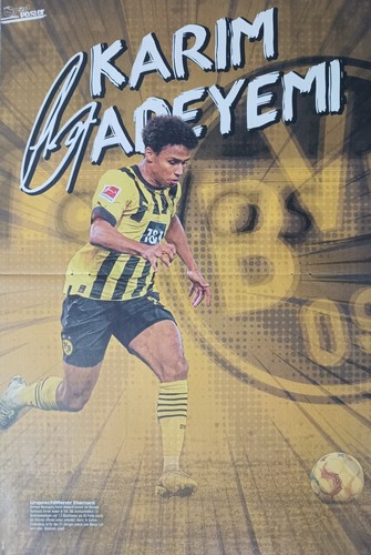 Karim adeyemi a3 - adeyemi,