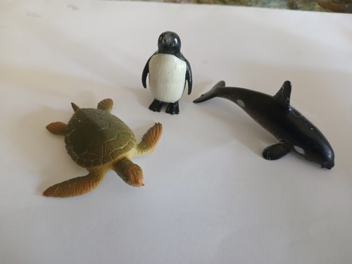 Meerestiere pinguin - pinguin,