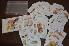 DDR Kartenspiel Quartett Pilze