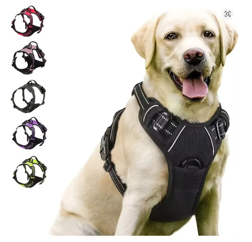 Hundehalsband hundegeschirr - hundehalsband,