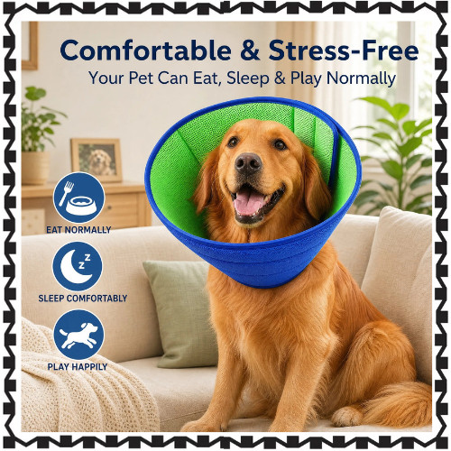 Pet neck brace adjustable - pet,