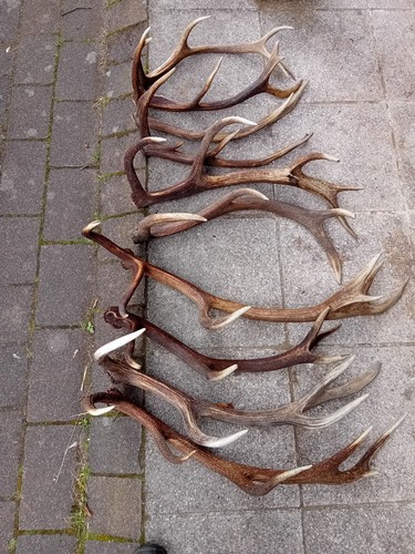 Konvolut abwurfstangen - konvolut,