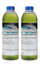 2 Liter - Nannochloropsis salina - Senkung von Nitrat &Phosphat Phytoplankton