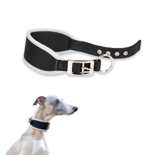 Hundehalsband ferplast - hundehalsband,
