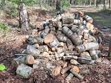 Kaminholz Birke ungespalten 4 rm für 220 Euro