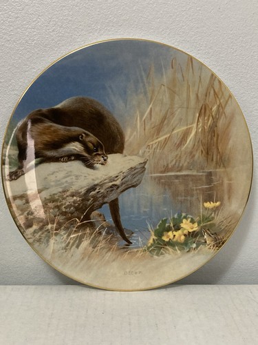 Royal worcester bone china - bone,