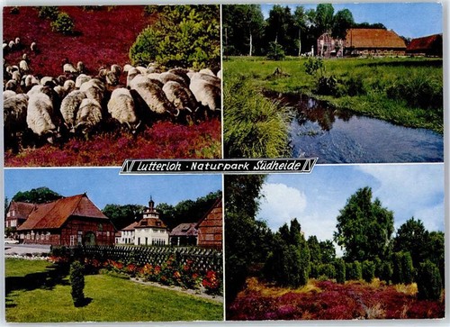 51403674 3104 lutterloh - 51403674,