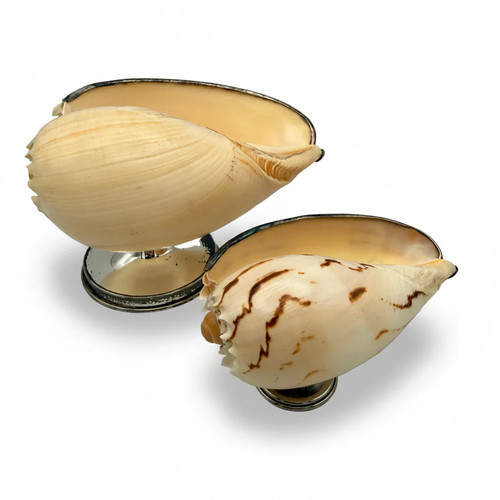 2er set antik muschelschalen - 2er,