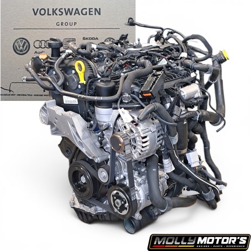 Komplett motor audi skoda - vw,