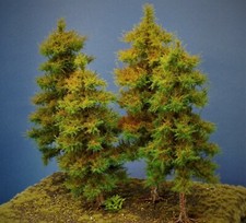 Diorama Modell Nadelbäume, 4