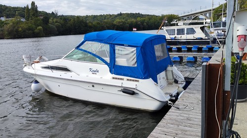 Motorboot kajütboot sea ray - sea,