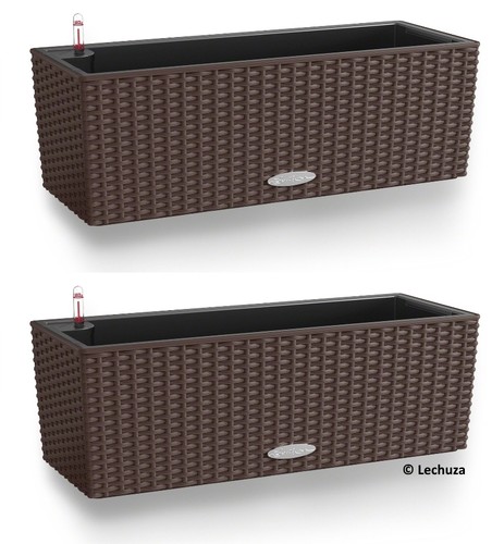 2er set lechuza - -, lechuza®