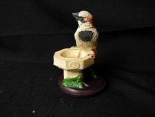 Unsere schöne Vogelwelt