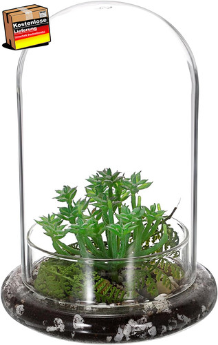 Mini pflanzenterrarium glas - pflanzenterrarium,