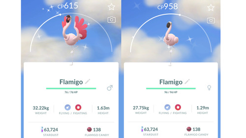 Shiny flamigo schillernd - flamigo, (schillernd