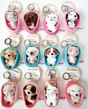 Nici Seeping Pets Hund Katze