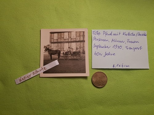 Foto pferd mit kutsche - foto,