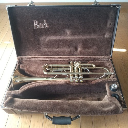 Bach tr300 trompete gold - tr300,