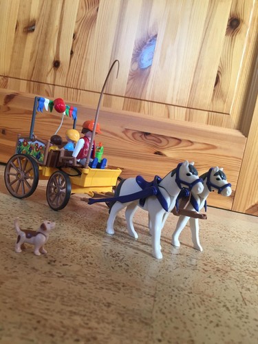 Playmobil 4186