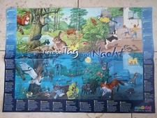 Medizini Wissensposter: Tiere