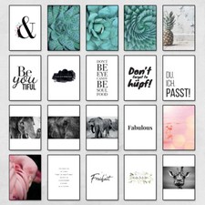 JUNIWORDS Poster "Verschiedene