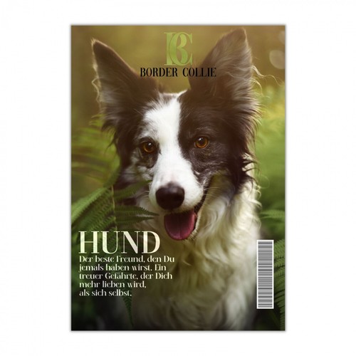 Border collie schild dog - collie,