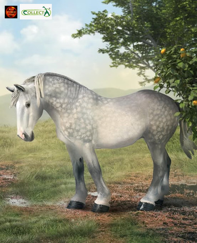 Percheron stute pferd - percheron,