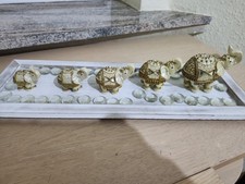 Eine Gruppe wunderschöner Elefanten zu verkaufen