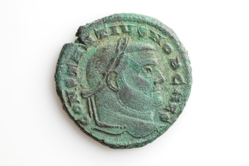 Constantius chlorus - i.,